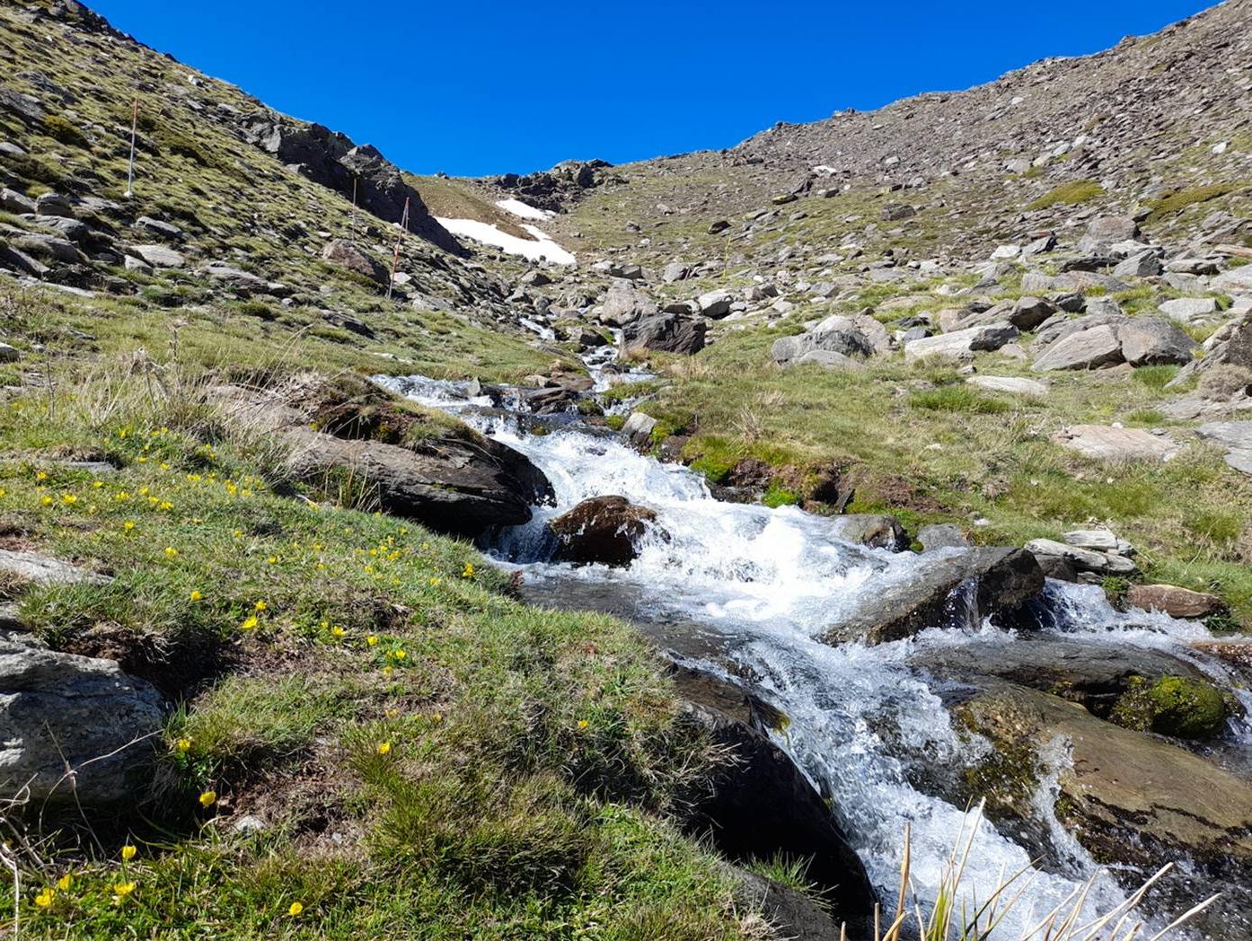 Spain glacial stream